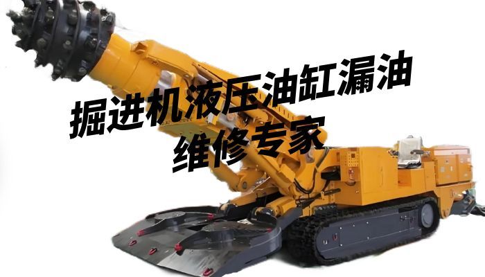 掘进机液压油缸漏油维修专家